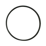 eSpring Filter Bracket O-Ring