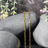 10K Yellow Gold Paperclip Chain (2.50 mm)