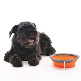 M-Pets On The Road Collapsible Travel Pet Bowl Orange 420ml