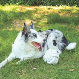 M-Pets Coto White Ball Cotton Rope Dog Toy 15cm