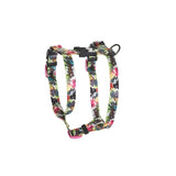 M-Pets Urbanstyle Graffiti Active Dog Harness XS
