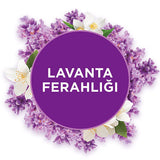 Glade Lavender Air Freshener Replacement - 1 Unit | Fresh Scent