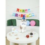M-Pets Party Time Birthday Set for Male Cats Blue Theme 10 Pieces