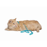 M-Pets Catogo Adjustable Cat Harness and Leash Set Blue