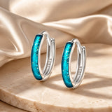925 Sterling Silver Enamel Oxidized Silver Earrings