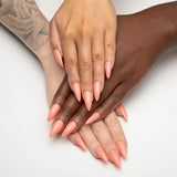 Orangesicle - 221