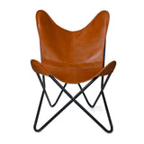 The Vintage Butterfly Chair