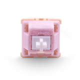 Salmon Tactile Switch