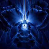 Guerlain Orchidee Imperiale The Rich Cream Anti-Aging Care 50ml