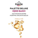Palette Deluxe Hair Dye 9-0 Blonde - Long-Lasting Rich Color & Nourishment