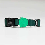 Lindo Brazil Dog Collar Large Adjustable 46-70cm