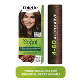 Palette Permanent Natural Color Hair Dye - 4-60 Golden Brown | 4.23 fl. oz.