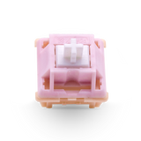 Salmon Tactile Switch