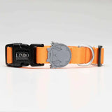 Lindo Royal Small Dog Collar with High-Print Design 30-44cm