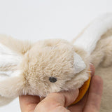 Babyjem Baby Plush Toy - Soft Toy for Infants with Attractive Colors and Soothing Sounds for Sensory Development