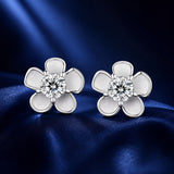 S925 Sterling Silver 3.00 Carat Moissanite Earrings for Women