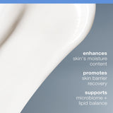 Dermalogica Intensive Moisture Balance Moisturizer for Dry Skin - Hydrating Skincare with Antioxidants & Natural Ingredients