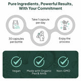 Ocean Methyl Folat - 30 Tablet Folic Acid Supplement