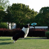 M-Pets Sprintpuff Frisbee Flexible Fetch Dog Toy Pink & Green