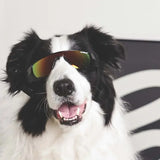 M-Pets Sunny Sunba Ther Dog Goggles UV Protection Black