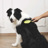 M-Pets Click And Groom Bristle Brush for Cats & Dogs