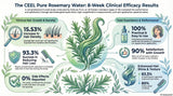 The Ceel Rosemary Water Hair Tonic 100ml - Natural Care | Revitalizing