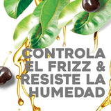 Organix Moisturizing Shampoo with Kukui Oil - Anti-frizz, Natural Hair Care for Dry & Frizzy Hair