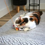 Mad Cat Hiss and Haunt Cat Teaser Wand with Catnip & Matatabi