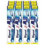 Signal White Now Toothbrush, 1+1 Free Medium Bristle Oral Hygiene for Whiter Teeth - Signal