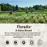 Floradix Liquid Dietary Supplement - Natural Iron & Vitamin Supplement for Adults & Children, Gluten-Free, 8.45 fl oz