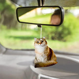 Airgut Pets King Golden British Car Air Freshener 1 Unit
