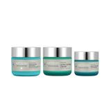 Artistry Skin Nutrition Firming Moisturizer Bundle