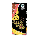 Bongardi Sofia Blend Coffee Capsules - 10 Count Nespresso Compatible Pods, Premium Rich Aroma Coffee