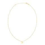 14K Yellow Gold Capricorn Necklace