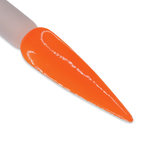 DD066 BLAZZING ORANGE