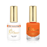 DD066 BLAZZING ORANGE