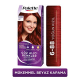 Palette Hair Dye - Vibrant, Nourishing, and Long-Lasting Color for Intense Shine