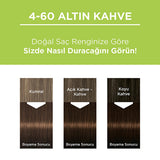 Palette Permanent Natural Color Hair Dye - 4-60 Golden Brown | 4.23 fl. oz.