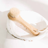 Dry Face Brush