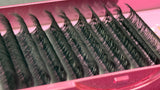 0.03 - DD Curl - Mix 13mm to 20mm