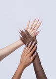 VBP Acrylic System - Blushing