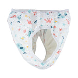 Sevi Bebe Breathable Potty Training Pants for Toddlers - Eco-Friendly, Reusable Training Pants for Boys and Girls (10-15 kg)