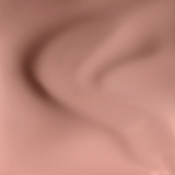Vintage Carnation - N04