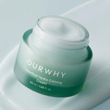 Ourwhy Heartleaf Moisturizing Cream Soothing Care 50 ml