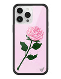 Pink Rose iPhone Case