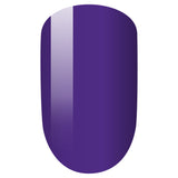 PMDP277 Purple Craze - 3in1 Gel Dip Acrylic  42gm