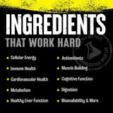 Universal Nutrition Animal Pak - 30 Packs