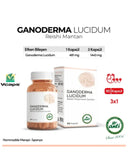 Anti Reishi Mushroom Extract Ganoderma Lucidum 90 Capsules