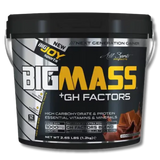 Bigjoy Sports Big Mass +GH Factors Gainer Powder 5000g
