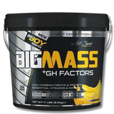 Bigjoy Sports Big Mass +GH Factors Gainer Powder 5000g